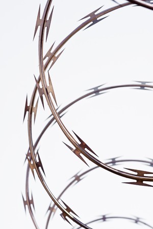 Rows of barb wire spirals - security or danger conceptの写真素材