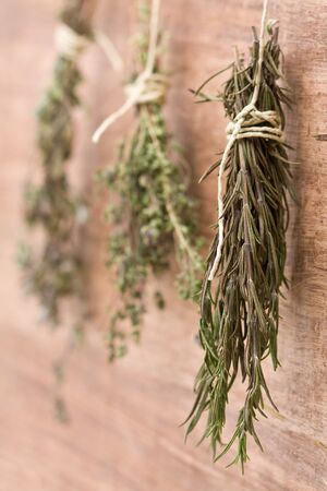 Fresh dried herb bundles of different herbs hanging on the wallの写真素材