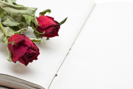 Empty book with room for text or images with two dried rosesの写真素材