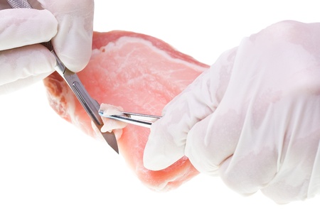 Researcher in lab takes sample of a piece of meatの写真素材