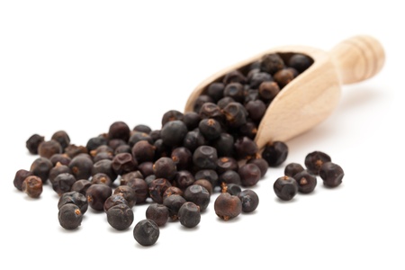Juniper Berries in wooden scoop on white backgroundの写真素材