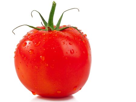 Fresh organic tomato with water drops isolated on white backgroundの写真素材