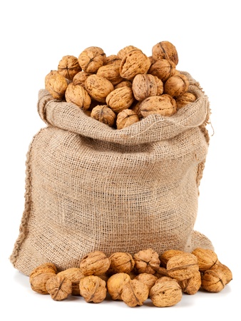 Organic fresh harvested walnuts in burlap sack on white backgroundの写真素材