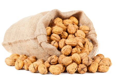 Organic fresh harvested walnuts in burlap sack on white backgroundの写真素材