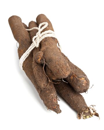 Black salsify  also called Viperの写真素材