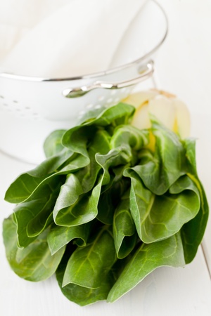 Organic fresh chard plant on kitchen tableの写真素材