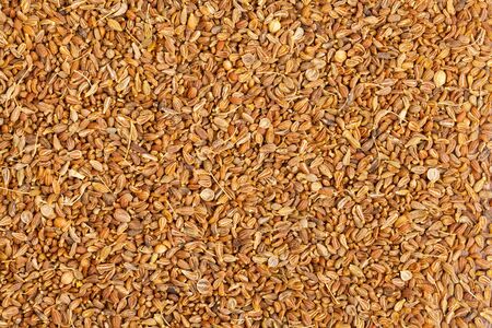 Frame filling background of organic dried anise seedsの写真素材