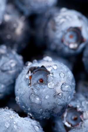 Fresh organic blueberries close up with selective focus and water dropletsの写真素材