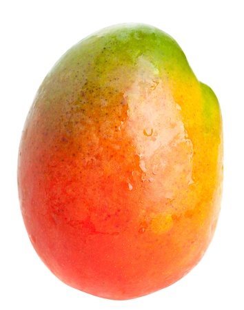 One single fresh ripe organic mango isolated on white backgroundの写真素材