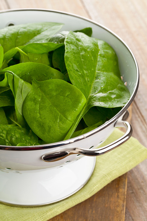 Freshly washed organic spinach leaves in kitchen strainerの写真素材