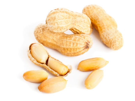 Roasted peanuts whole and opened on white background