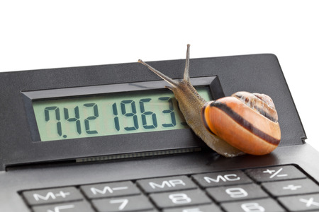 Snail on calculator over white - slow business or finance conceptの写真素材