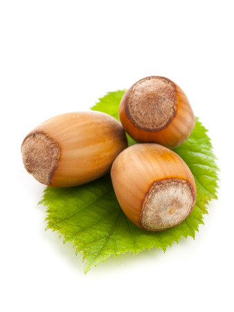 Heap of organic hazelnuts on hazelnut leaf over white background - selective focus macro shotの写真素材