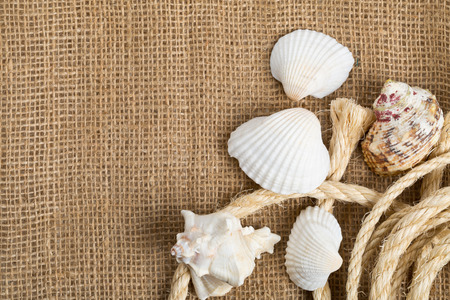 Seashells with rope on brown burlap cloth with copyspace - vacation or summer theme conceptの写真素材