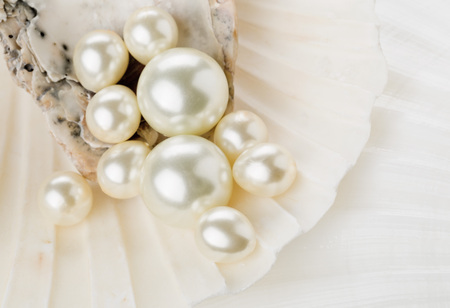Close up of pearls in sea shell with selective depth of fieldの写真素材