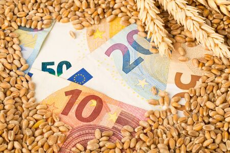 Euro banknotes covered with heap of wheat kernels with wheat ears - wheat cost or prize concept, selective focusの写真素材