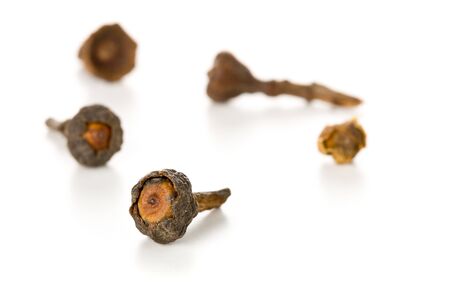Close up macro of raw, dried cinnamon blossom buds spice over white background with selective focusの写真素材