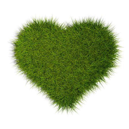 Heart made of green grass isolated on white background, nature love or ecology concept, 3D illustration, flat lay top view from aboveの写真素材