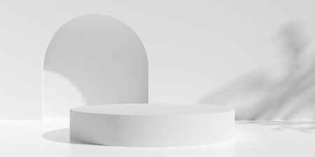 Empty, blank, round podium or dais in white room background with tree shadow and door frame on the back wall, product or design placement template, 3D illustrationの写真素材
