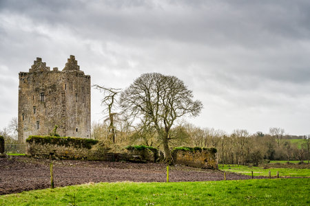 Lackeen Castle in rural County Tipperary in Irelandのeditorial素材
