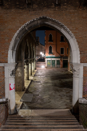 View of the old city of Venice at nightのeditorial素材