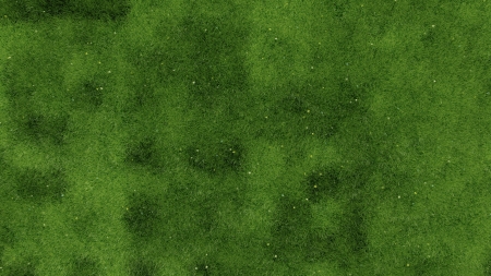3d green grass with flowers background texture.の写真素材