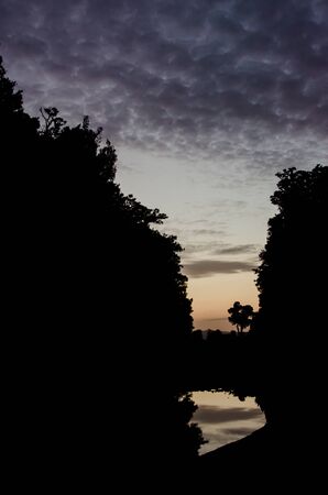 Silhouette of a forest with a lonely tree and a reflection in the river below, with dark clouds in duskの写真素材