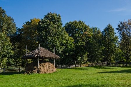 Pile of hay under a roof in the fieldの写真素材