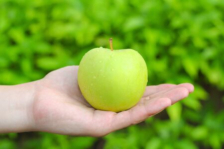 Hand holding green apple with green backgroundの写真素材