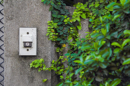 Doorbell and plantの写真素材