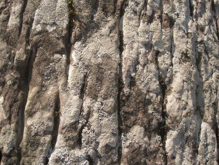A close-up of a rock on the beach, suitable as a background imageの写真素材