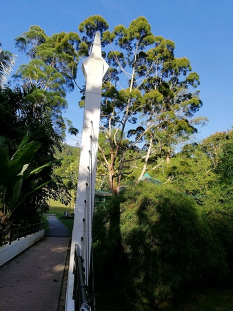 Penang Botanical Gardensの素材