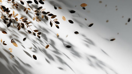 Autumn leaves with shadow on white background. Flat lay, top viewの素材