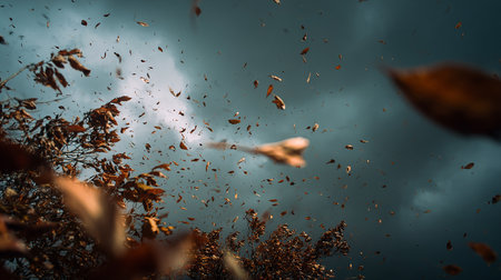 Autumn leaves falling into the water. Autumn background. Selective focus.の素材