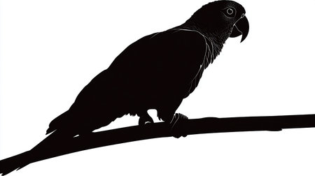 Parrot sitting on a branch isolated on a white background, silhouetteの素材