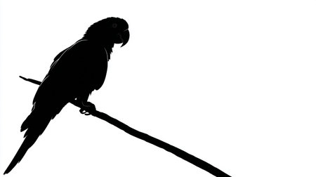 Silhouette of a black and white parrot on a wireの素材