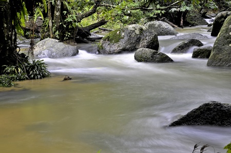 river through forest の写真素材