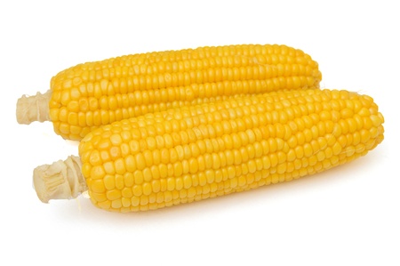 Two corn cobs isolated on the white の写真素材