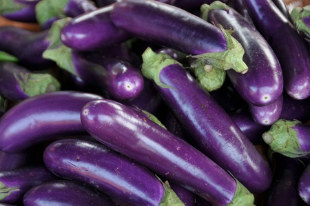 Eggplant purple from market の写真素材