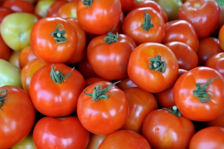 fresh tomato の写真素材