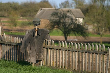 Garden Scarecrowの写真素材