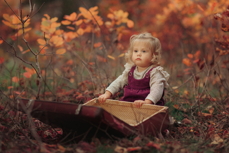 Little cute blonde girl sits in autumn park and looks in an old suitcaseの写真素材