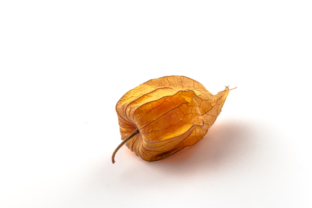 Cape Gooseberry, physalis fruit Physalis peruviana isolated on a white background.の写真素材