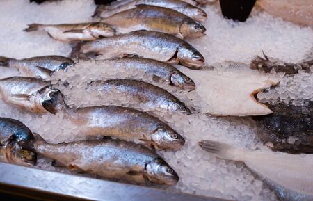 Pile of silver fish on ice. Fish market. Fresh raw mackerel fish on ice background. Silver fish on...