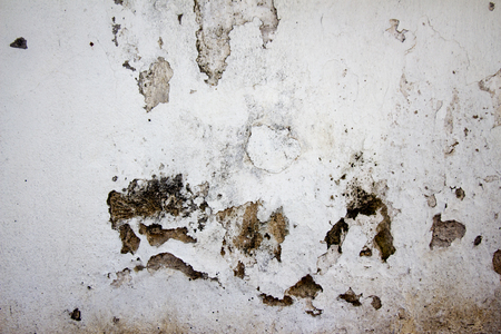 The temple walls in Chiang Maiの写真素材