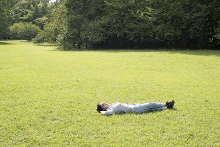 Lush green parkの写真素材