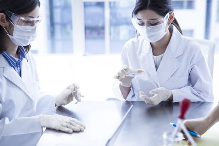 Scientist with Petri dish in laboratory.の写真素材