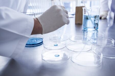 Scientist with Petri dish in laboratory.の写真素材