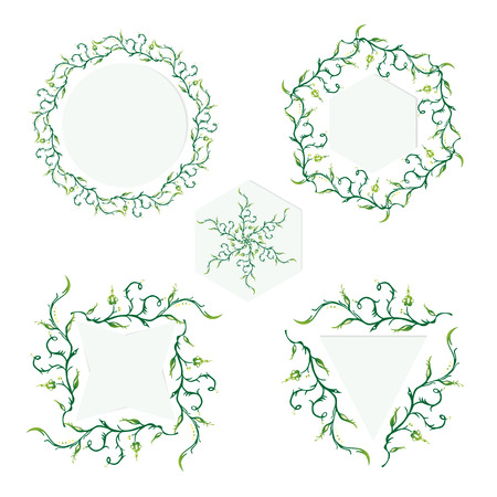 Set of five framesのイラスト素材