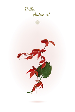 Autumn still life with red and green leaves. Vector illustrationのイラスト素材